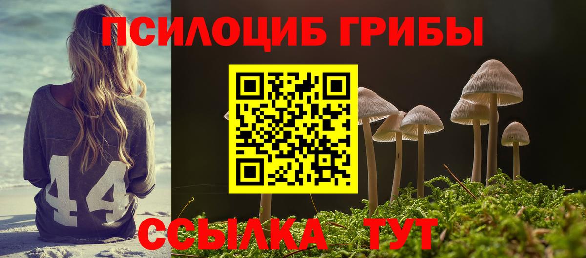 Галлюциногенные грибы MAGIC MUSHROOMS  Вход с VPN  наркота  Можайск 