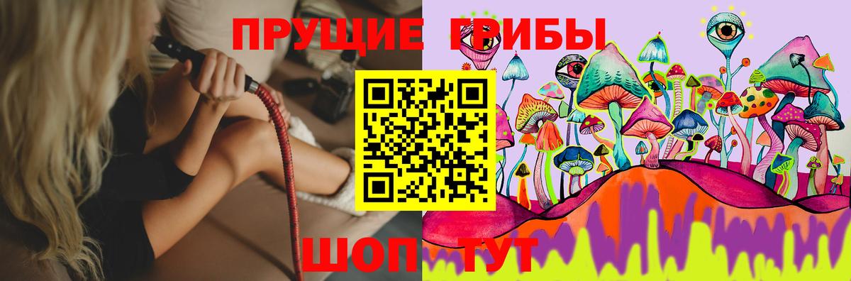 Галлюциногенные грибы GOLDEN TEACHER Можайск
